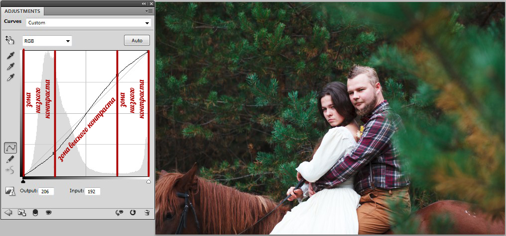 Photoshop кривая. Кривые в фотошопе. Совмещение двух фотографий. Точечная кривая в фотошопе. Curves в фотошопе.