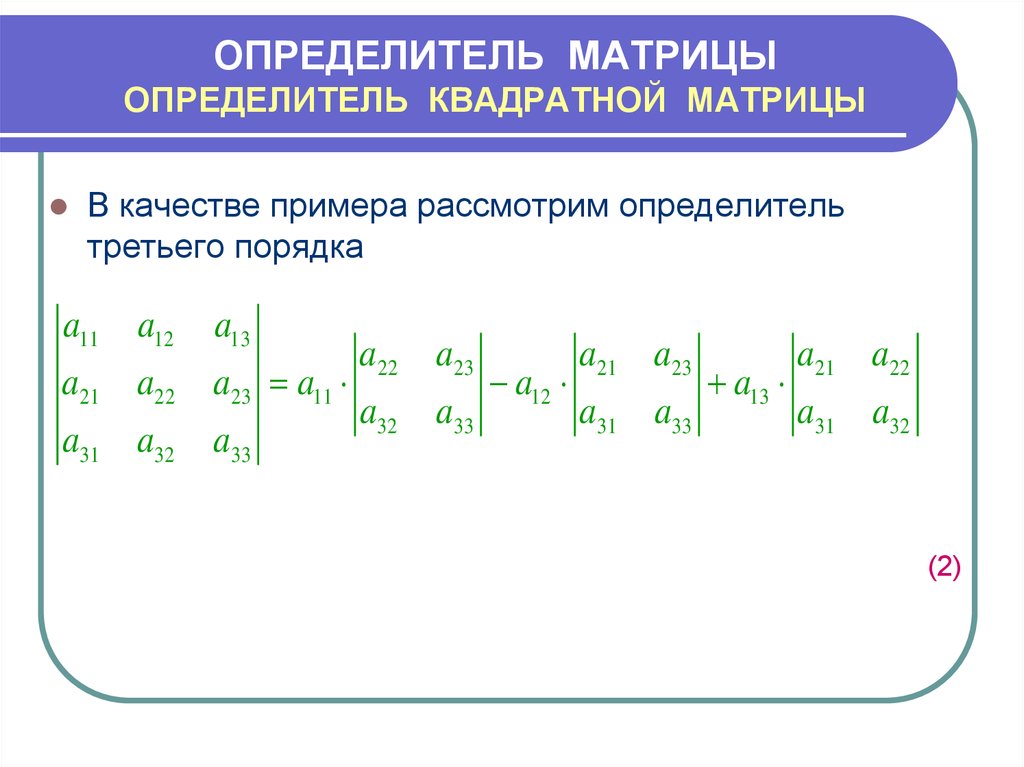 Определитель по картинке онлайн