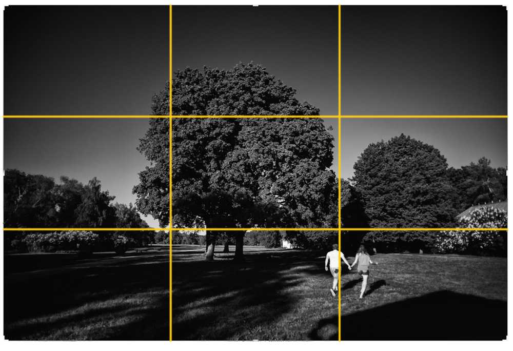 Золотое сечение в фотографии. Правило третей в композиции. Принцип третей в композиции. Золотое сечение в пейзаже композиция. Правило третей в фотографии.