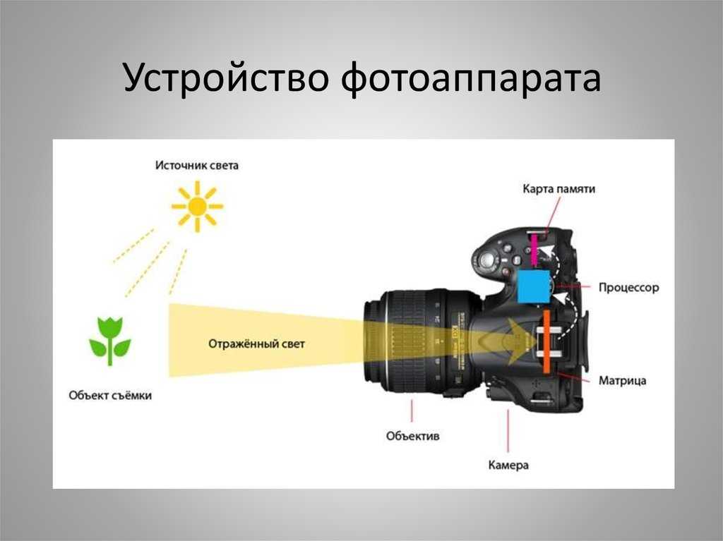 Какое изображение получается на фотопленке в фотоаппарате физика 8 класс