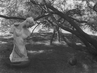 Из цикла «Волшебный садик». Фото Йозефа Судека, 1954-1959 г. © Josef Sudek/Anna Fárová