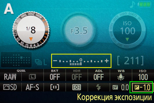 ISO 6400: картинку как будто «посыпали» песком, всё покрыто точками разной яркости. Это и есть цифровой шум. Резкость, контраст и насыщенность цветов снизились. 
