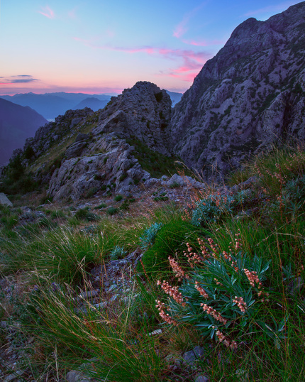 Nikon D610 / Nikon AF-S NIKKOR 24-120MM F/4G ED VR