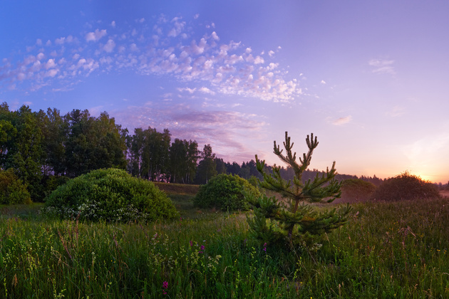 Nikon D610  / Nikon AF-S 24mm f/1.4G ED AF-S Nikkor