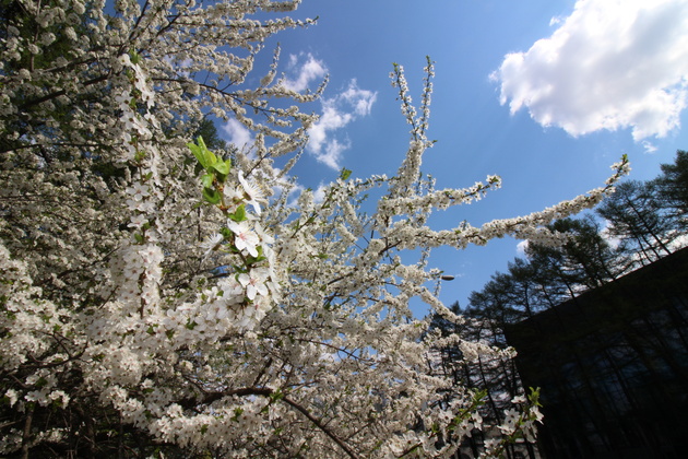Зеркальная фотокамера для путешествий