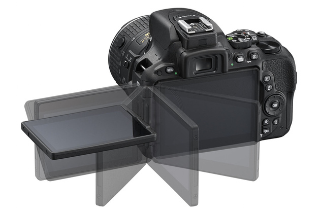 Nikon D5500 с объективом Nikon AF-P DX 18-55mm f/3.5-5.6G VR Nikkor 