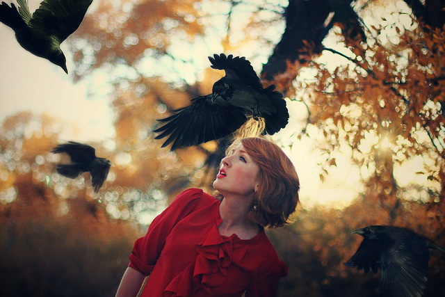 By: Alexandra Benetel