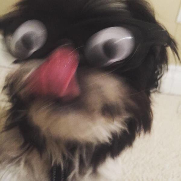 Прелесть смазанных фотографий