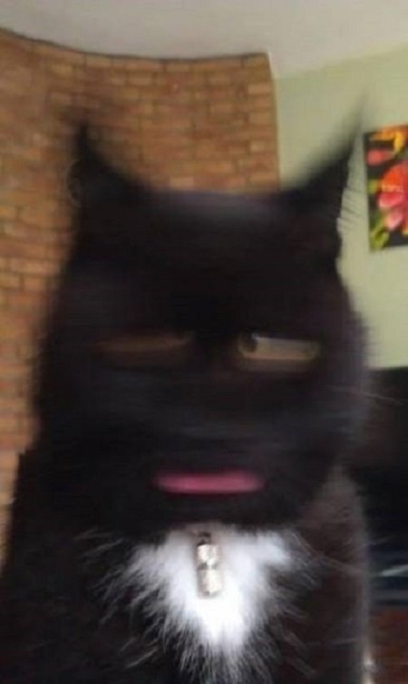 Прелесть смазанных фотографий