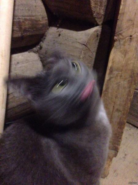 Прелесть смазанных фотографий