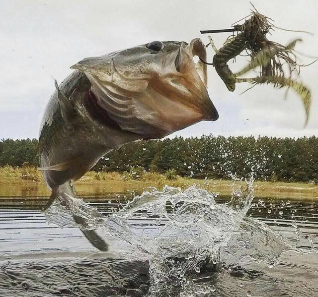 Прелесть смазанных фотографий