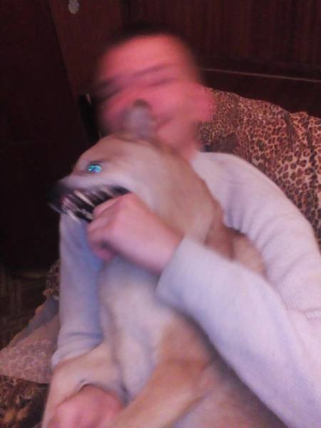 Прелесть смазанных фотографий