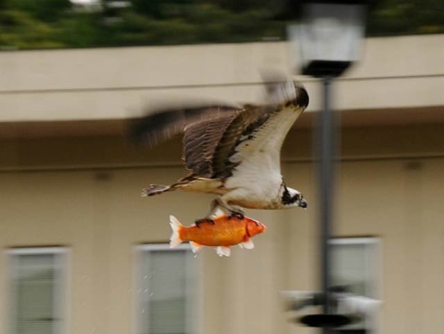 Прелесть смазанных фотографий
