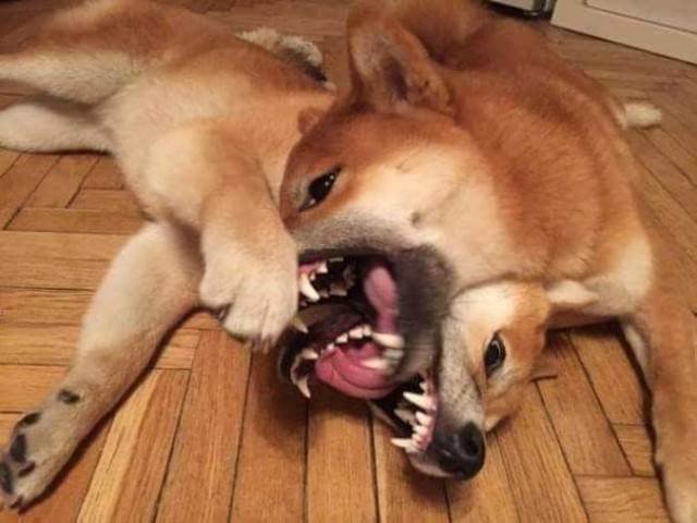 Прелесть смазанных фотографий