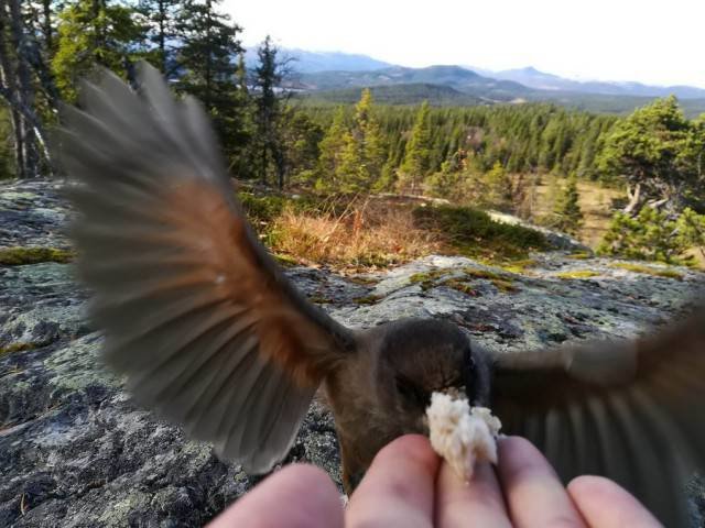 Прелесть смазанных фотографий