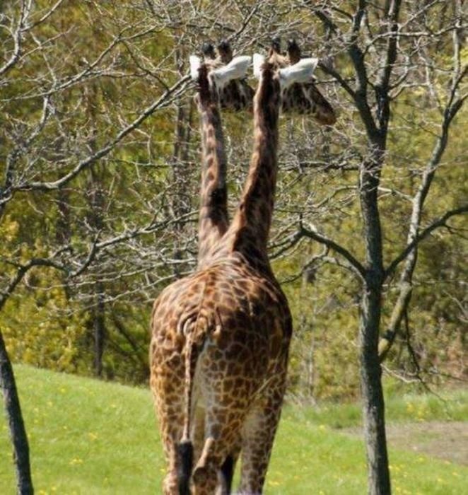 Случайные моменты запечатленные фотографами