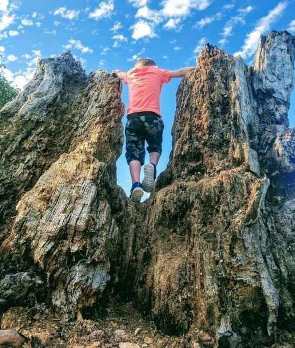 Случайные моменты запечатленные фотографами