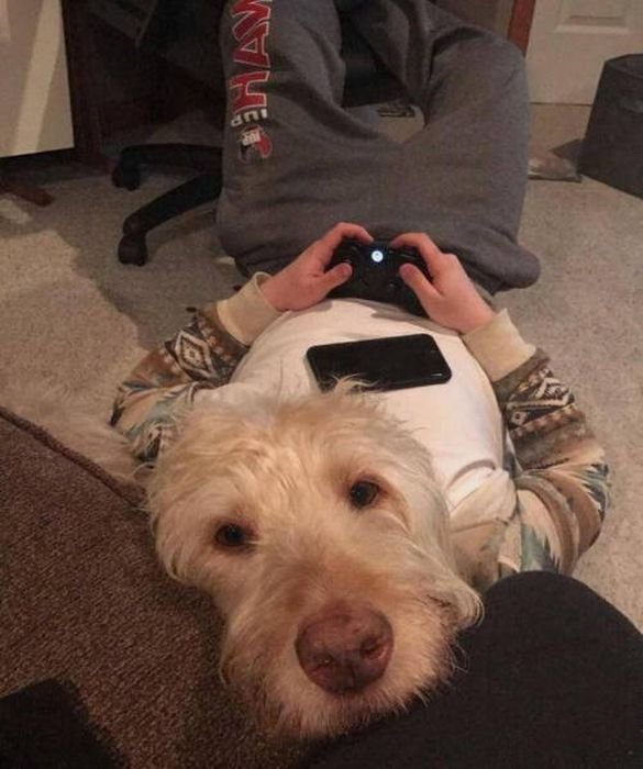 Случайные моменты запечатленные фотографами