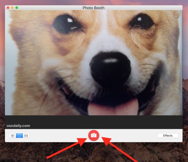 Click the camera button to take a picture with Mac camera