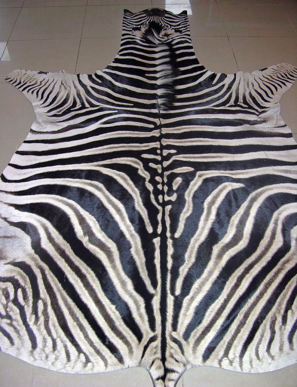 Психологический тест Роршаха (7 фото + текст)