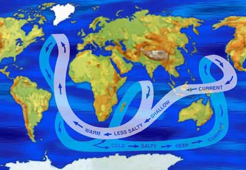 World map showing major ocean currents by salinity levels. Warm, shallow water is less salty than deeper, colder water.