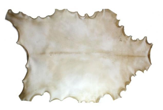 Виды и типы кожи, фото № 16 Виды и типы кожи, фото № 16