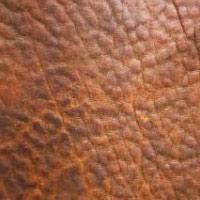 Виды и типы кожи, фото № 1 Виды и типы кожи, фото № 1