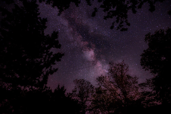 Purple tinged astrophotography shot framed by silhouettes of trees