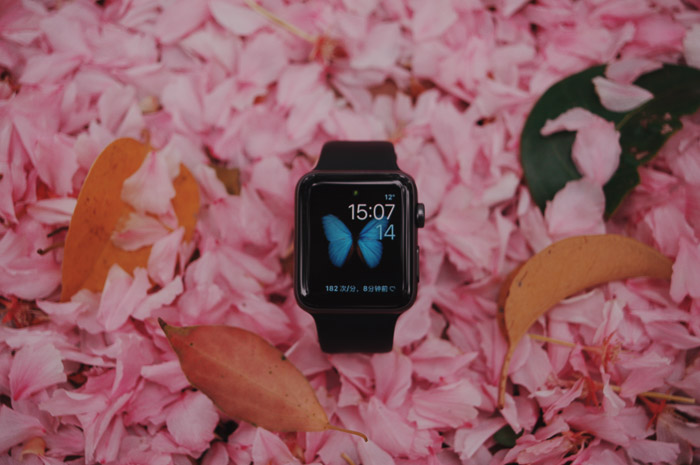 A product photography styling example of a digital watch displayed on pink rose petals 
