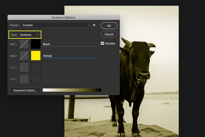 A screenshot of converting an image to duotone in Photoshop - color modes in photoshop