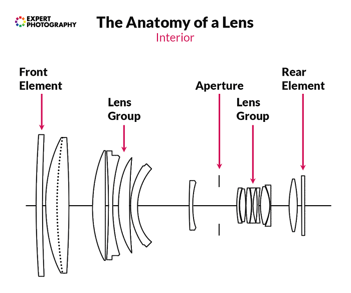 Diagram showing the anatomy of a lens 