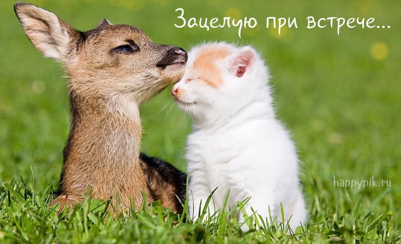 Скучаю по тебе