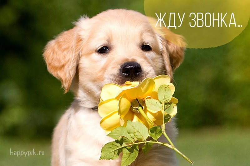 Скучаю по тебе