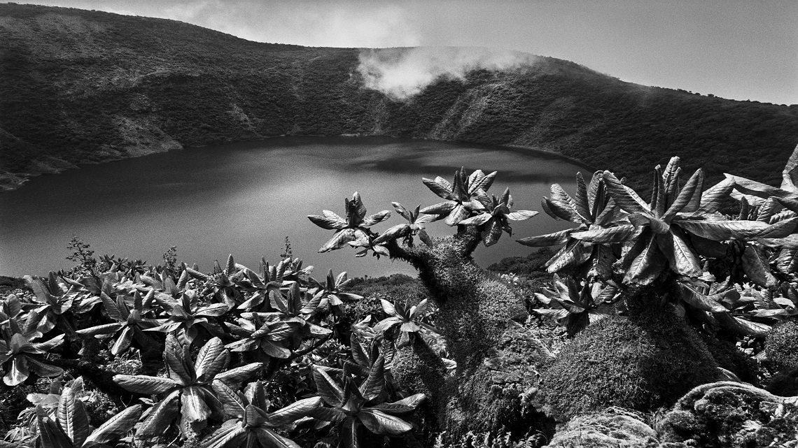 Сальгадо фотограф фото