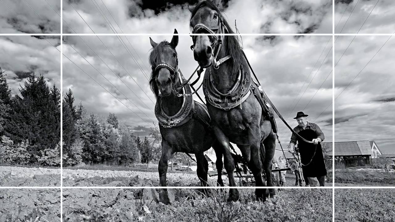 Правило диагоналей в фотографии