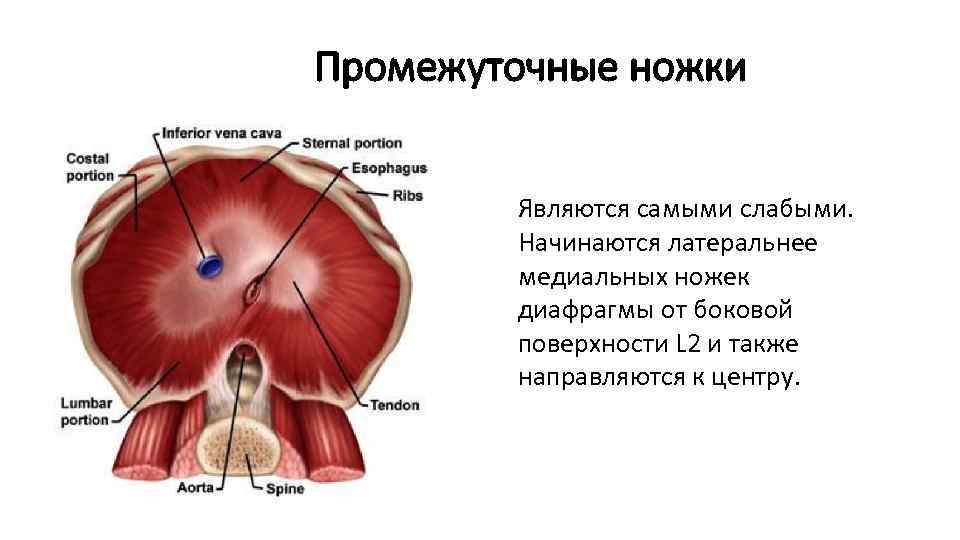 Размытие диафрагмы в фотошопе