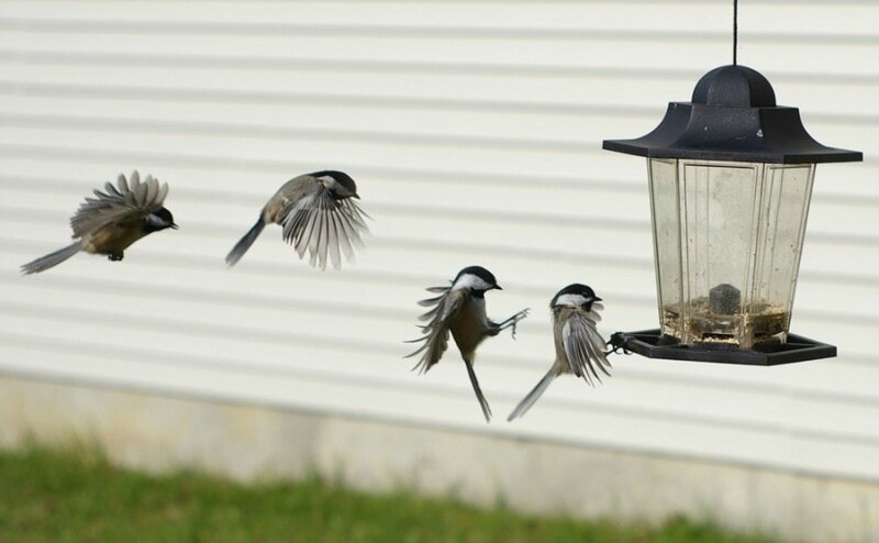 Мультисъемка (много отличных фотографий)