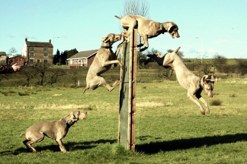 Мультисъемка (много отличных фотографий)