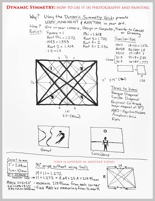 Dynamic-Symmetry-notes-by-Tavis-Leaf-Glover