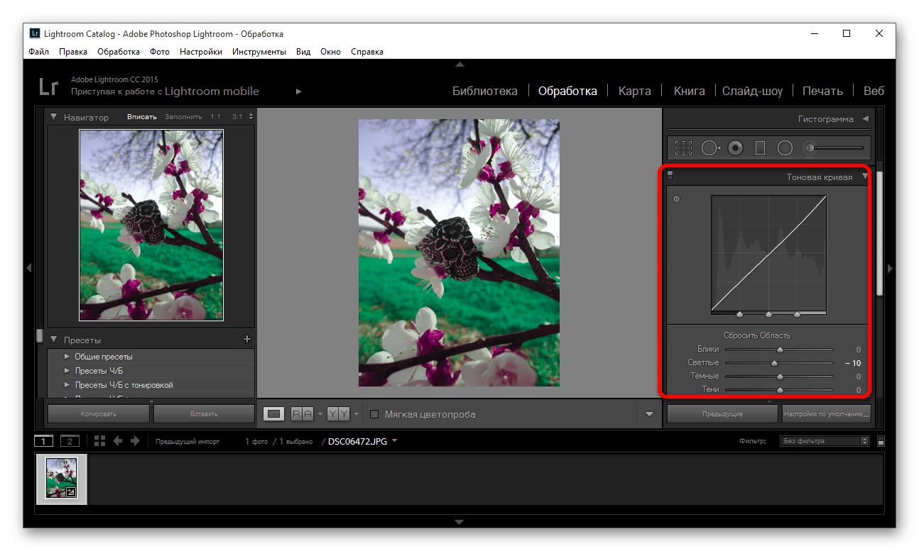 Использование тоновой кривой для тонирования изображения в программе Adobe Photoshop Lightroom