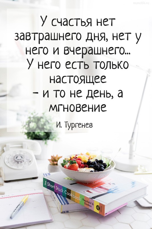  У счастья нет завтрашнего дня, нет у него и вчерашнего... У него есть только настоящее - и то не день, а мгновение И. Тургенев