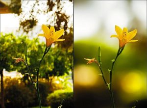 Режимы диафрагмы объектива