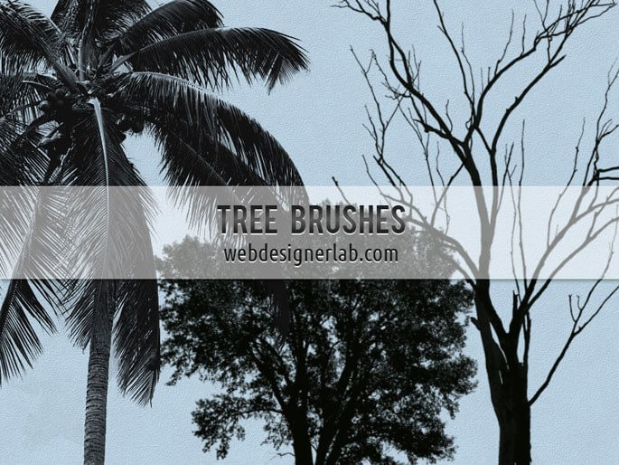 Кисти для рисования деревьев в Фотошопе