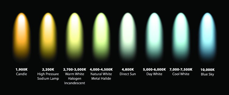 Lights and Color Temperature: bulb chart