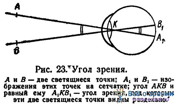 Зрение поле зрения острота зрения. Механизм остроты зрения. Угол зрения и острота зрения. Острота зрения физиология. Минимальный угол зрения.