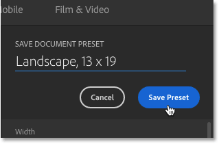 Naming the preset and then clicking the Save Preset button.