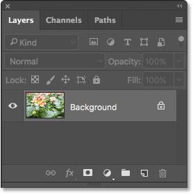 The Layers panel showing the image on the Background layer. 