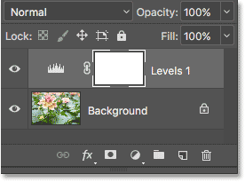 The Layers panel showing the adjustment layer above the image. 