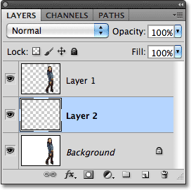 A new layer has been added below the currently selected layer.