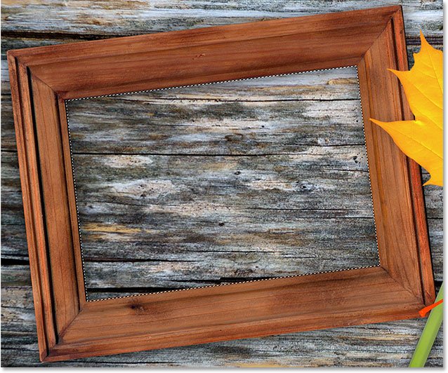 The inside of the picture frame is now selected.
